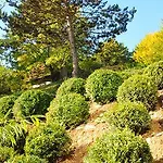 Couette-café Le Clos Jeannon Villers-lès-Nancy