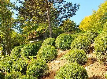 Bed & Breakfast Le Clos Jeannon Villers-les-Nancy